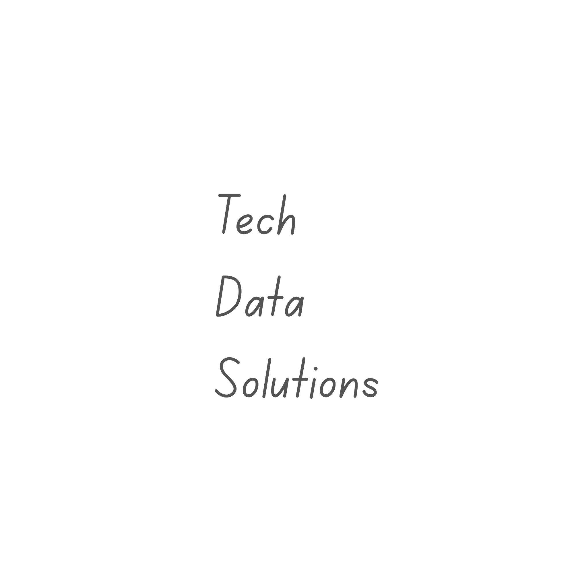 Tech Data Solutions company logo for analytics and data services