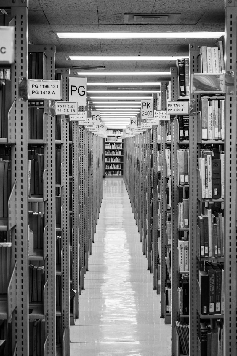 Library shelves stretch into the distance.